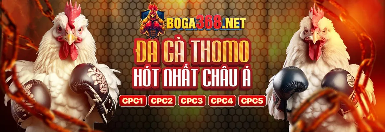 Chơi công bằng và bảo mật tại agbong88 chính thức